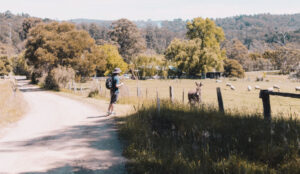 antenna-ohNCIiKVT1g-unsplash