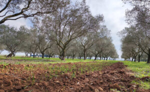 nicolas-barbault-i4IvwM1cTDo-unsplash