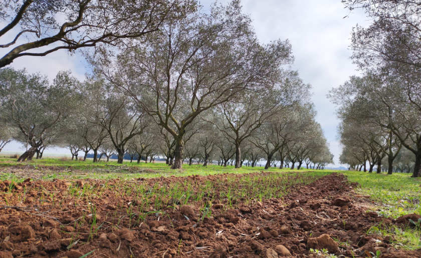 nicolas-barbault-i4IvwM1cTDo-unsplash nicolas-barbault-i4IvwM1cTDo-unsplash