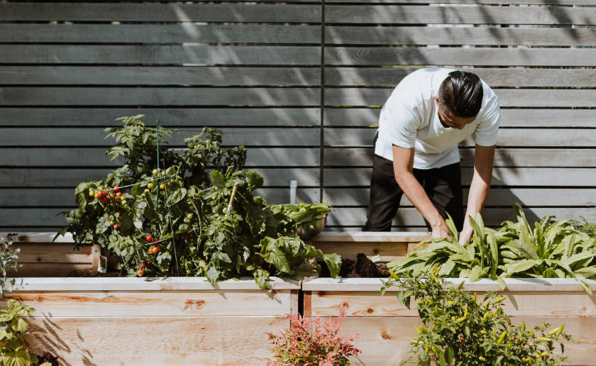 priscilla-du-preez-JCZ2pE-Szpw-unsplash (1) priscilla-du-preez-JCZ2pE-Szpw-unsplash (1)