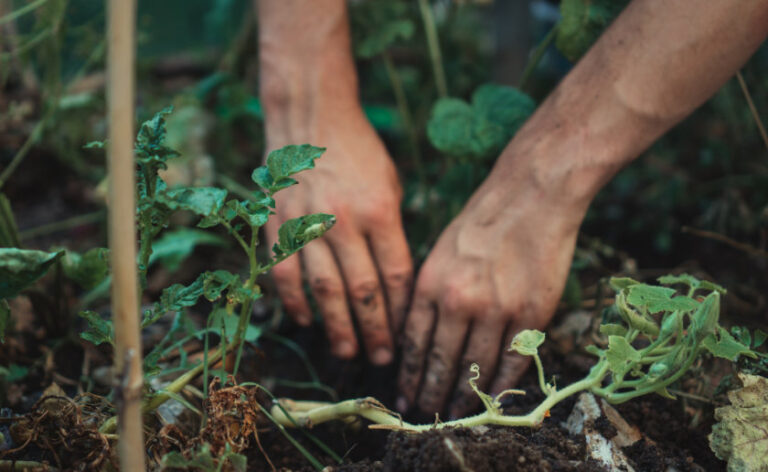 jonathan-kemper-4z3lnwEvZQw-unsplash