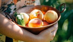 antenna-ohNCIiKVT1g-unsplash antenna-ohNCIiKVT1g-unsplash